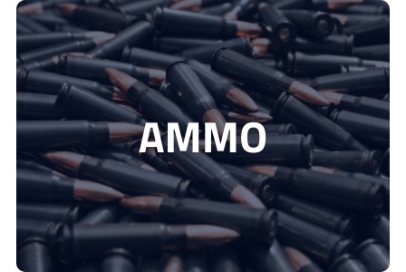 DCF Guns - Ammo